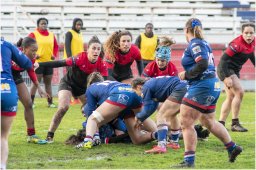 rugby 3